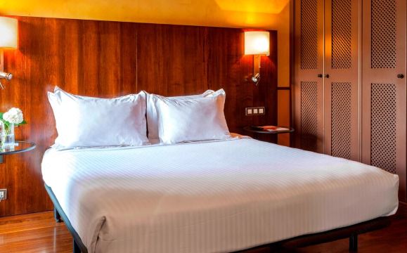 Hotel Palacio del Carmen, Autograph Collection Hotel Overview