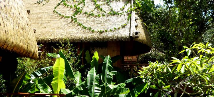 西盟秘境佤寨稻田庄园图片