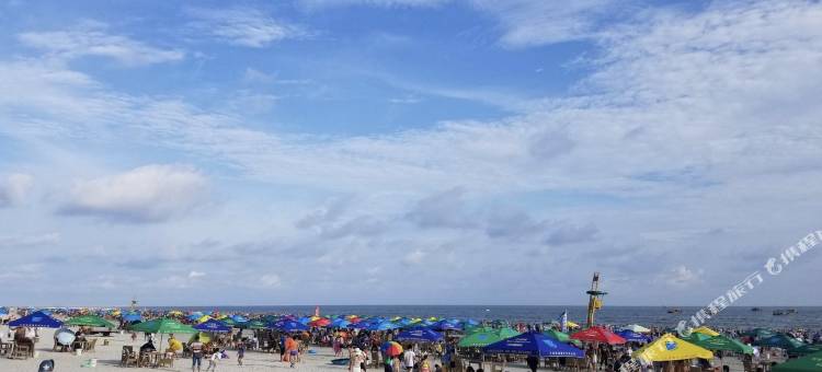 北海白茶清欢无别事公寓图片