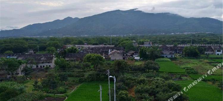 楠溪江南菊民宿图片