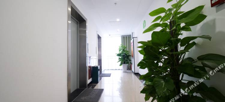 青皮树酒店(徐州高铁站和平大道万达广场店)图片