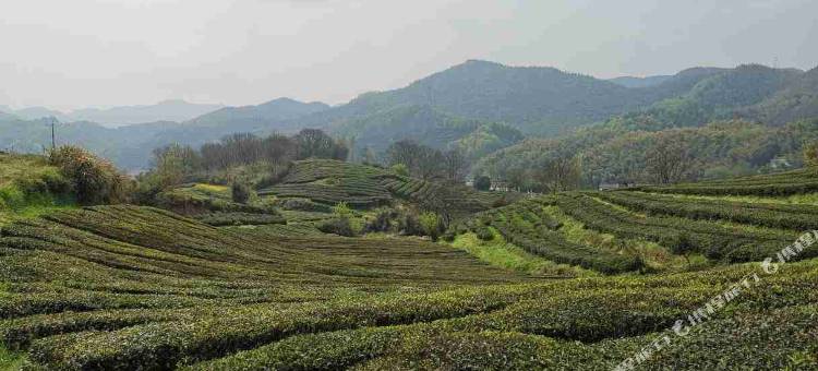 霍山南岳农庄图片