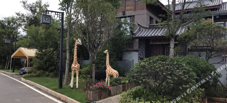 丽江圣雪欧鲁假日酒店图片