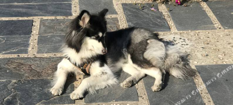 上海朱家角然后民宿图片