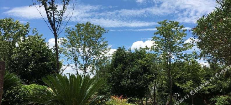 泰宁云景酒店图片