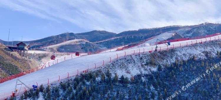 张家口棒棒棠尊享公寓图片