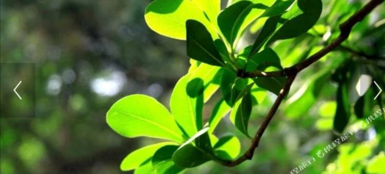 郑州鑫诚新青年旅社(郑州火车站二七广场店)图片