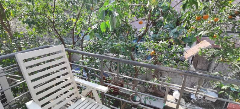 上海逐梦之音特色民宿图片