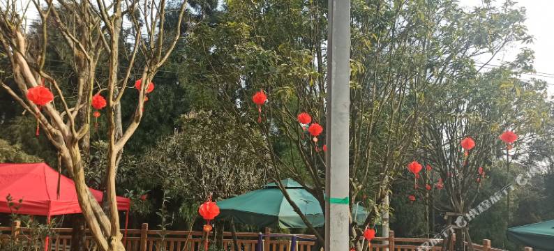 天台山安其居民宿图片