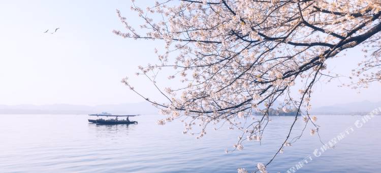 昆明美成city酒店图片