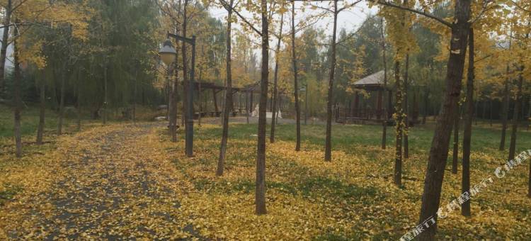 全季酒店(北京传媒大学双桥地铁站店)图片