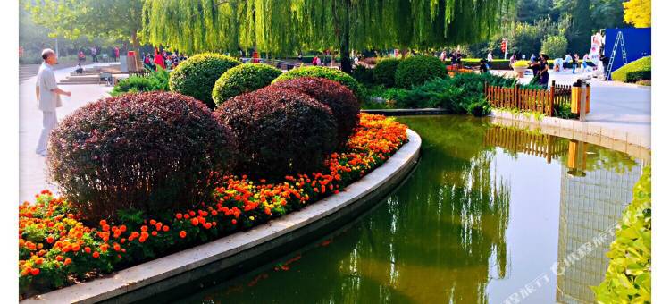 星程酒店(北京马甸桥店)图片