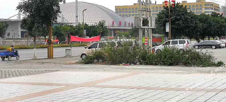 田阳奇林精选酒店图片