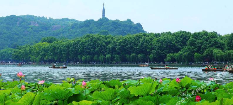 浙江大学圆正·西溪宾馆图片