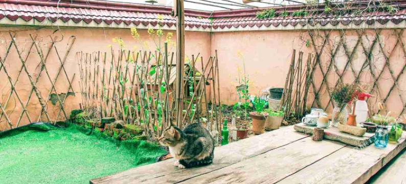 婺源屋土青年旅舍图片