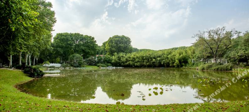 河南省黄河迎宾馆图片