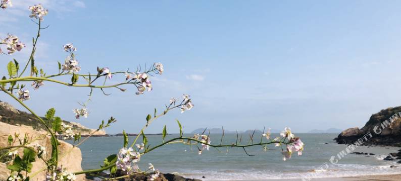 嵊泗花鸟岛流白民宿图片