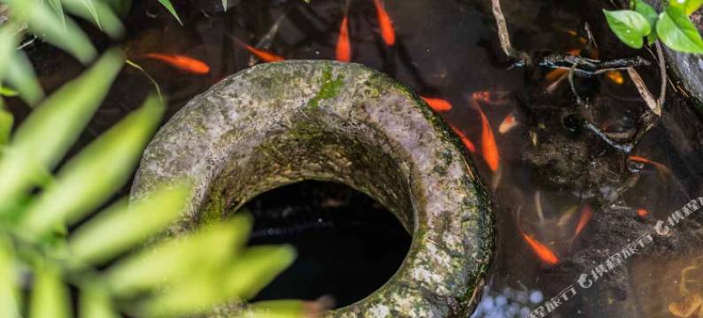 同里井华居精品客栈图片