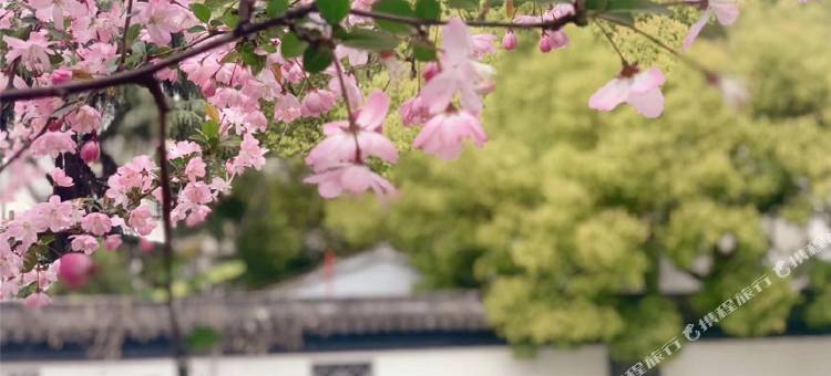 维也纳酒店(太仓上海东路陆渡店)图片