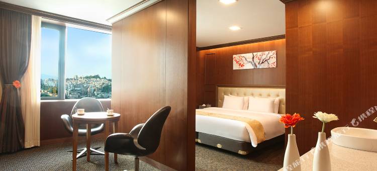 天空花园东大门帝宮店(Hotel Skypark Kingstown Dongdaemun)图片