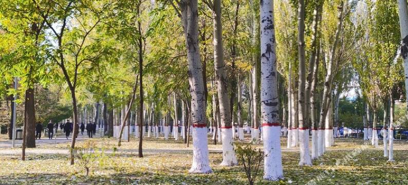 梦旅主题酒店(昆区包百王府井店)图片