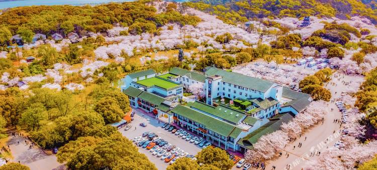 无锡樱花山庄(太湖鼋头渚风景区店)图片