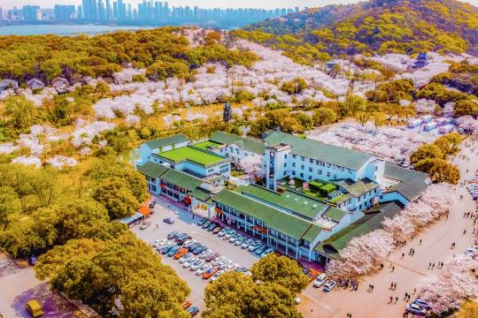 無錫櫻花山莊（太湖黿頭渚風景區店）