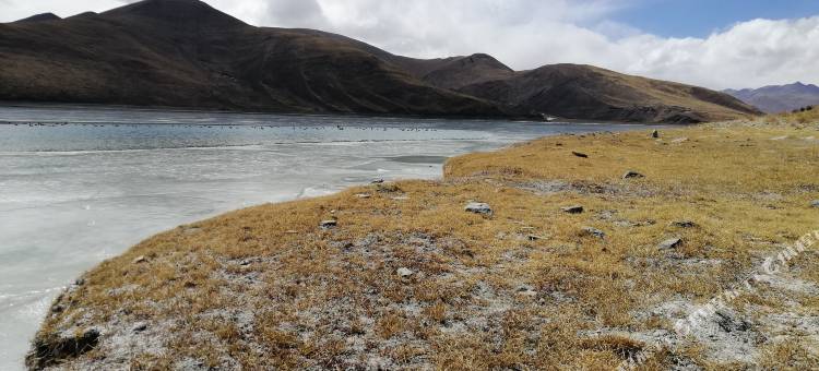 浪卡子羊湖部落家庭旅馆图片