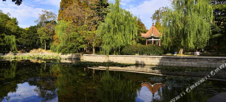 金釜快捷酒店(青岛五四广场店)图片