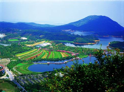 深圳喜悦假日酒店(罗湖口岸黄贝岭地铁站店)图片