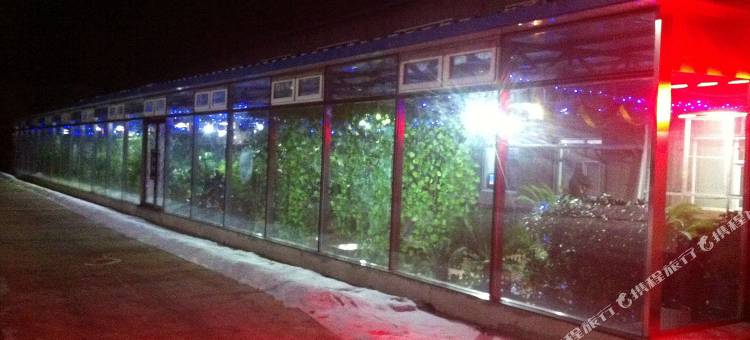 长春龙嘉机场田园酒店图片