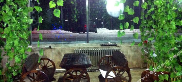 长春龙嘉机场田园酒店图片