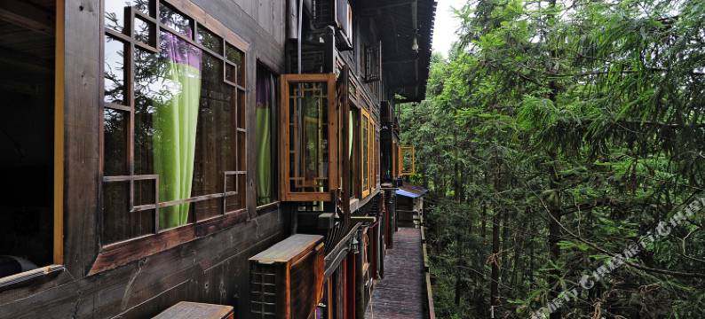 西江时光里森林度假酒店图片