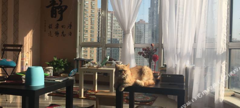 沈阳柔软时光国际青年旅舍图片