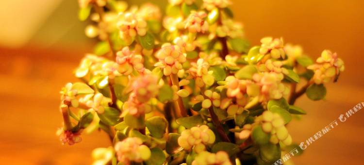 云台山小酒窝客栈图片