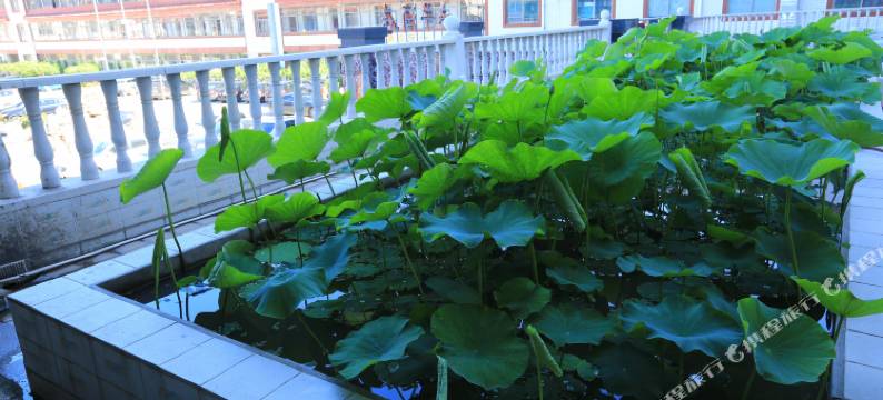 雄县永平大酒店图片