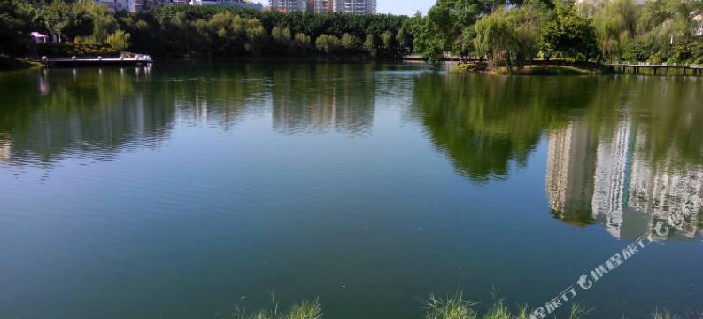 梧州蒲公英青年旅舍图片