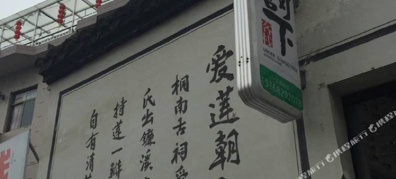 桐庐银杏树下客栈图片