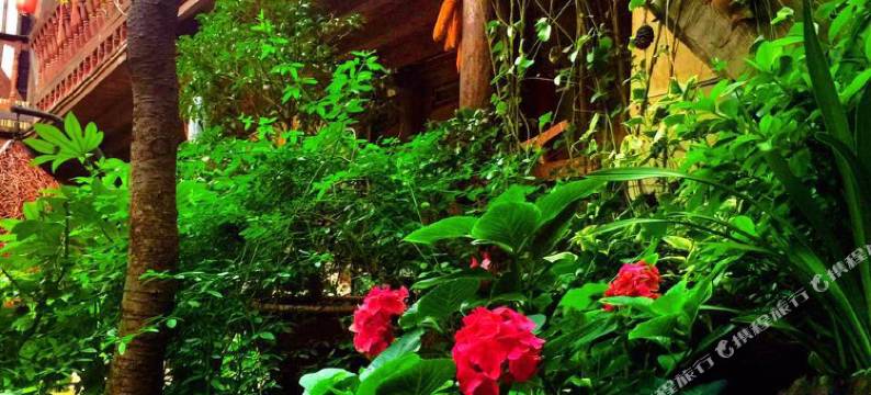 丽江迦南美地客栈图片