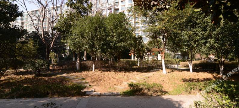 香樟园青年民宿图片