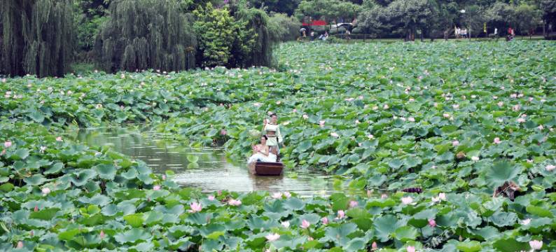桥头三正半山酒店图片