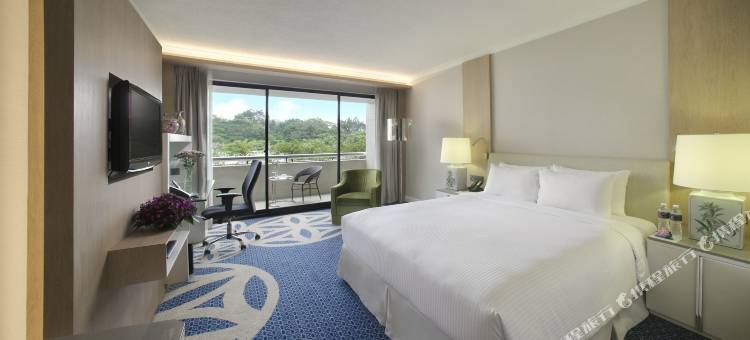 新加坡凱煌大酒店(Concorde Hotel Singapore)图片