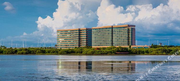 坦帕湾君悦大酒店(Grand Hyatt Tampa Bay)图片