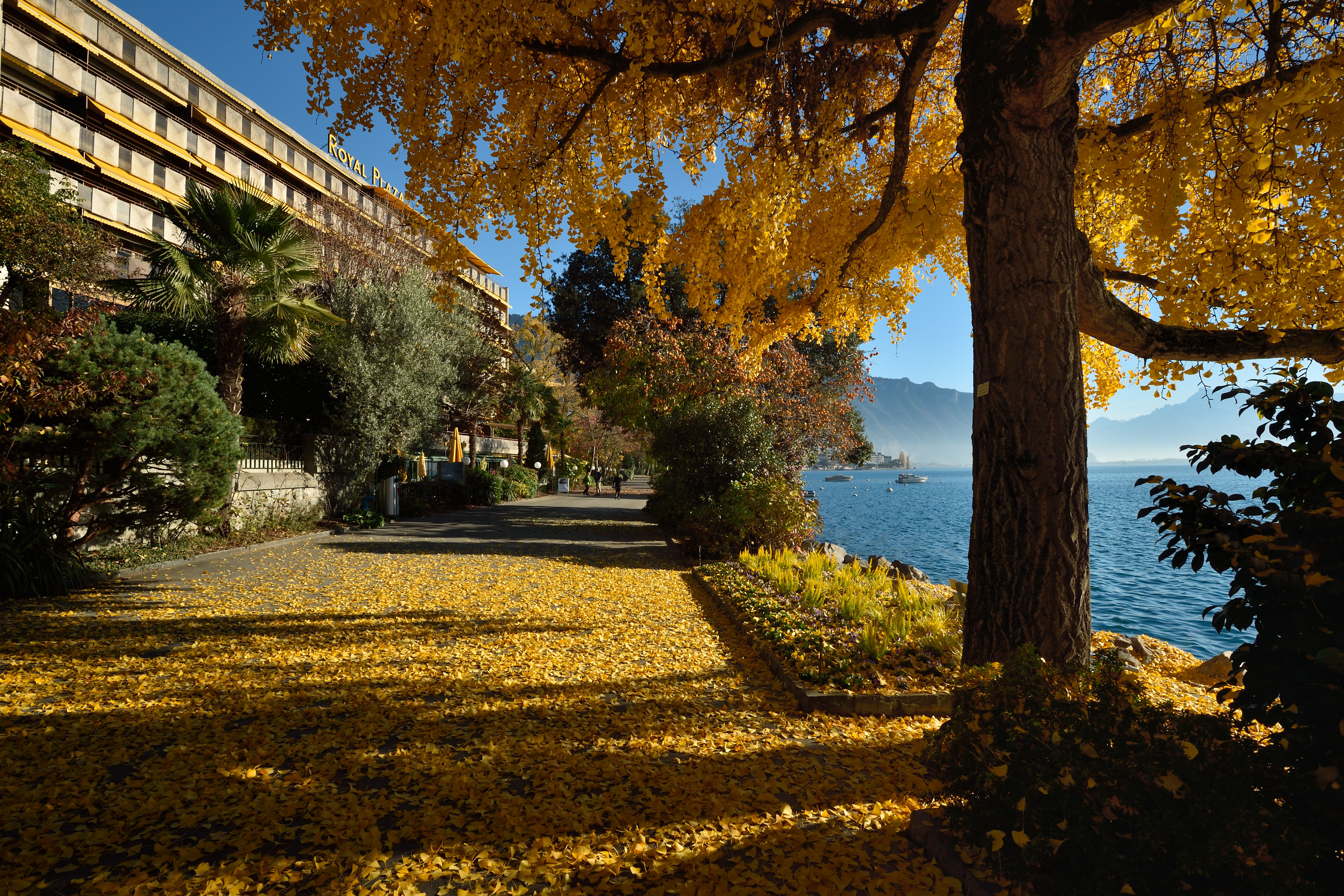Royal Plaza Montreux Over view