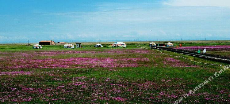 刚察嘉禾假日宾馆图片