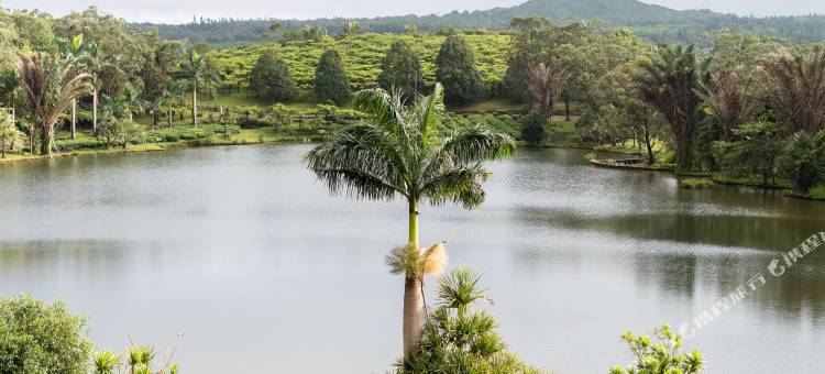 布瓦谢里泡泡小屋(Bubble Lodge Bois Chéri Plantation)图片