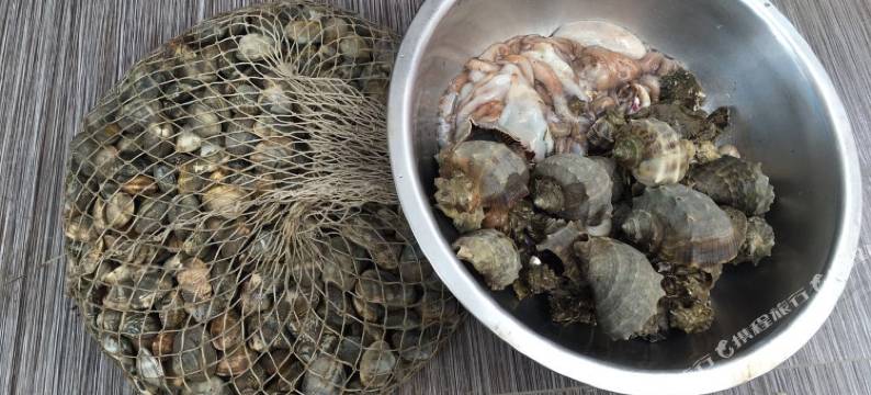 觉华岛海之蓝宾馆图片