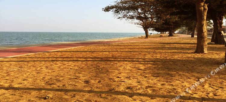 酒神之家酒店(Bacchus Home Resort)图片