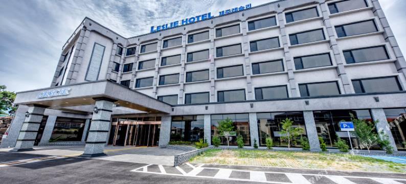 莱斯利酒店(Leslie Hotel)图片