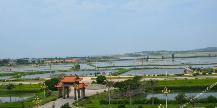 地址(位置,怎么去,怎么走):  汕尾城区红海湾遮浪镇四石柱